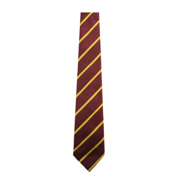 DARTFORD SCHOOL TIE