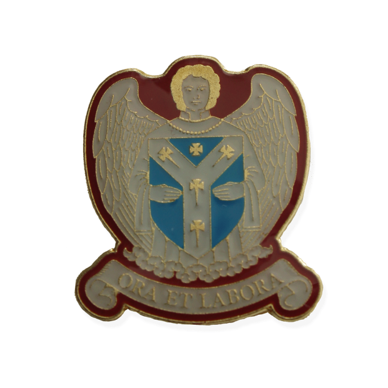 DARTFORD GRAMMAR SCHOOL LAPEL PIN BADGE