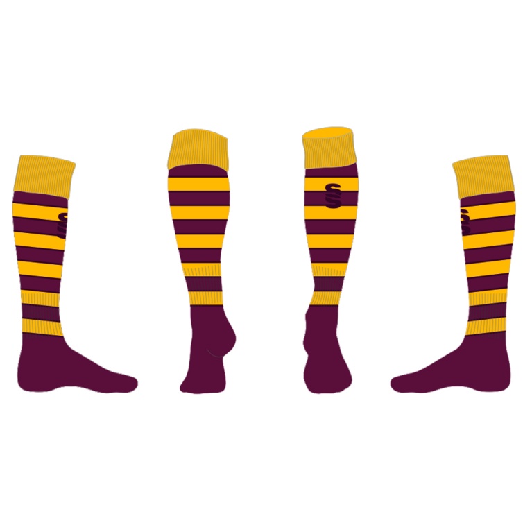 DARTFORD GRAMMAR SCHOOL 1st XI RUGBY SOCKS